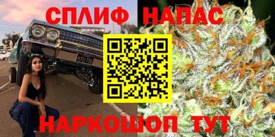 шишки Среднеуральск