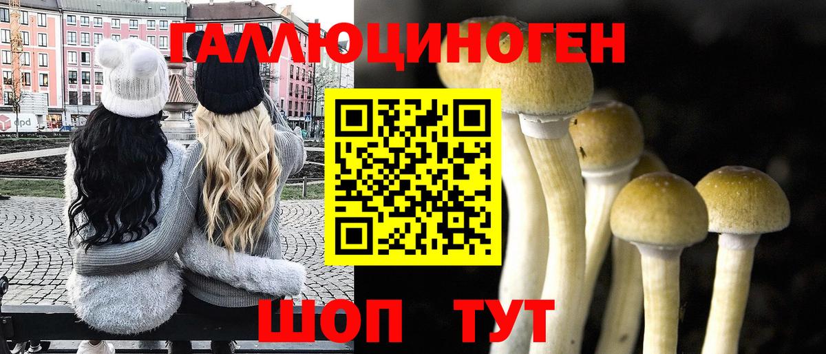 Псилоцибиновые грибы MAGIC MUSHROOMS  Вход с VPN  Новоалтайск  Псилоцибиновые грибы Psilocybine cubensis 